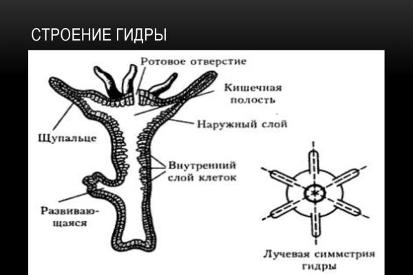 Как зайти на кракен в торе