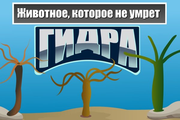 Kraken ссылка на сайт тор