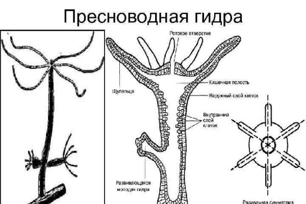 Kraken официальная ссылка