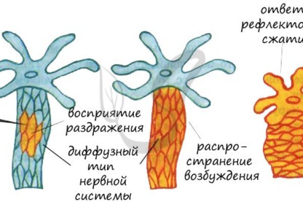 Кракен сыл ссылка