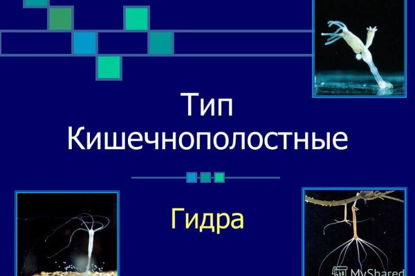 Почему не работает кракен сегодня